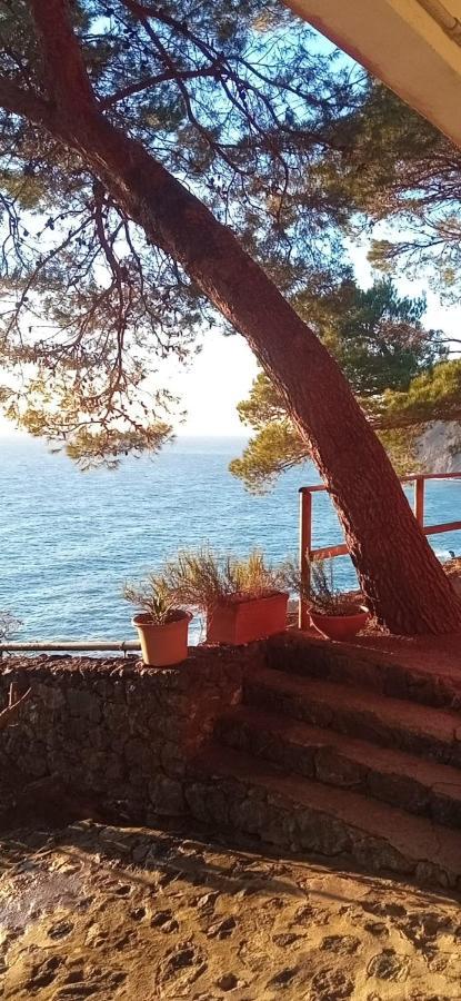 Apartamento Cinqueterre National Park Sea View Framura Exterior foto