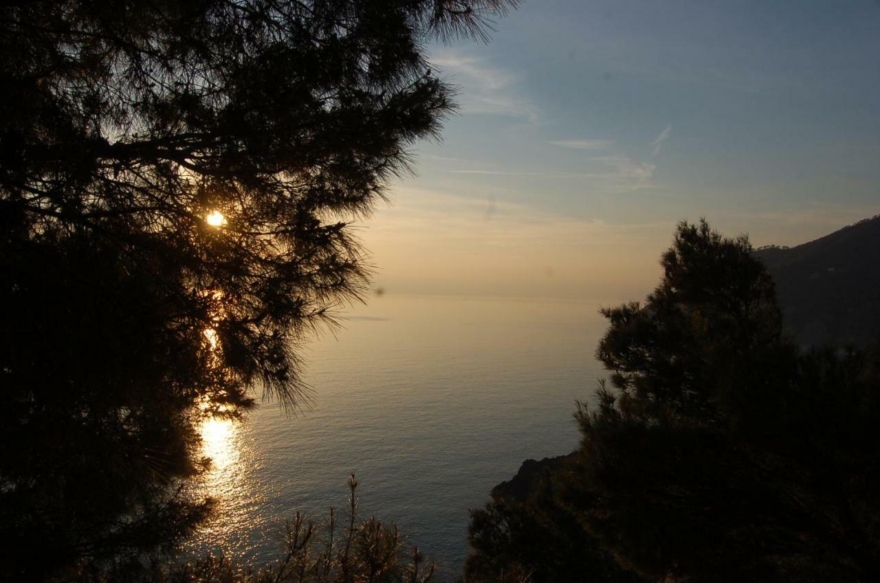 Apartamento Cinqueterre National Park Sea View Framura Exterior foto